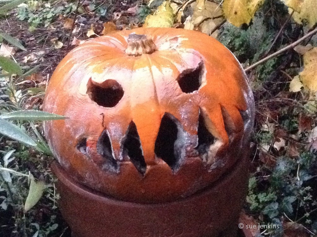 sj_pumpkin1